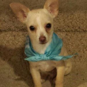 Meet your Posher, Tina